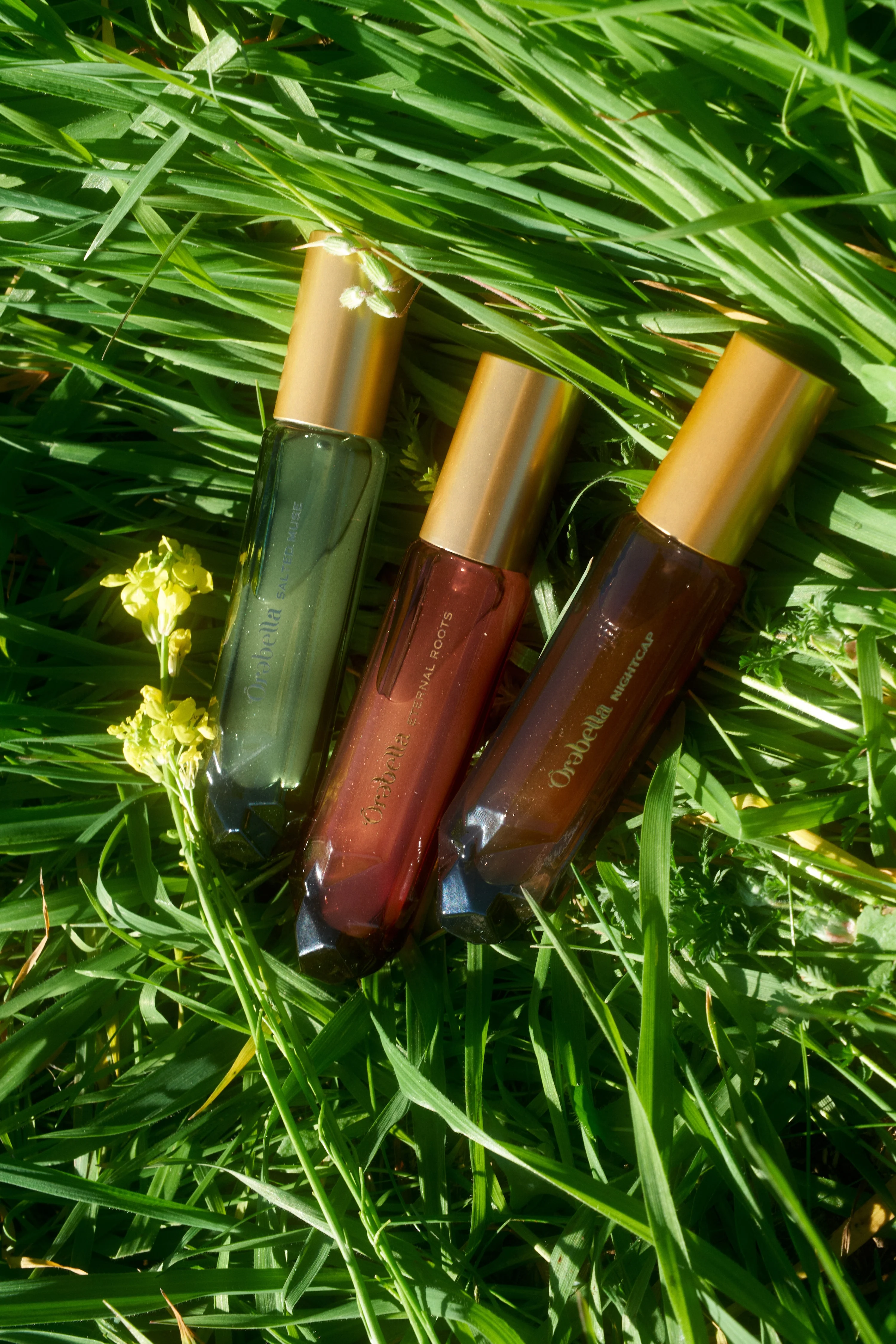 Salted Muse Parfum - Image 3